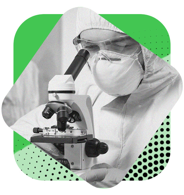 Alcovit Rings in the New Year with an International Expansion